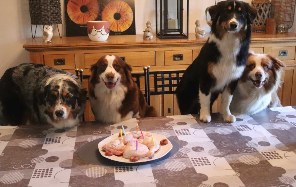 anniversaire